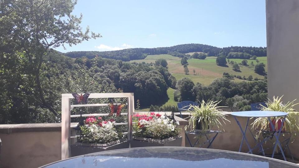 Gite Moderne Proche De Kaysersberg Av Jacuzzi Prive Orbey Buitenkant foto